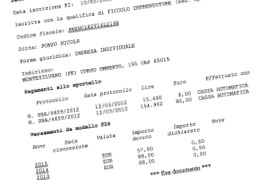 Estratto Conto Diritti Camera di Commercio